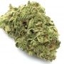Humboldt Seed Company Golden Sands Smoke Buds Weed Ganja Skunk Dope Pot Images Pics Nuggets