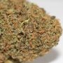 Greenhouse Seeds Razuberi Smoke Buds Weed Ganja Skunk Dope Pot Images Pics Nuggets