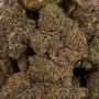 Grounded Genetics Guava Jelly Smoke Buds Weed Ganja Skunk Dope Pot Images Pics Nuggets