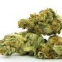 Original Sensible Seeds Strawberry Banana Fast Smoke Buds Weed Ganja Skunk Dope Pot Images Pics Nuggets