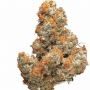 Original Sensible Seeds Ghost Train Power Smoke Buds Weed Ganja Skunk Dope Pot Images Pics Nuggets