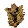 Karma Genetics Biker 41 Smoke Buds Weed Ganja Skunk Dope Pot Images Pics Nuggets