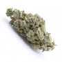 Humboldt Seed Organisation Blue Dream Smoke Buds Weed Ganja Skunk Dope Pot Images Pics Nuggets