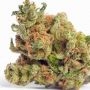 Humboldt Seed Organisation SunDogZ Smoke Buds Weed Ganja Skunk Dope Pot Images Pics Nuggets
