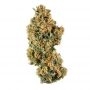 Humboldt Seed Organisation Gorilla Breath Smoke Buds Weed Ganja Skunk Dope Pot Images Pics Nuggets