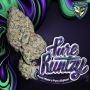 TH Seeds Pure Runtzy Smoke Buds Weed Ganja Skunk Dope Pot Images Pics Nuggets