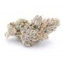 Seedism Papaya Razzlez Smoke Buds Weed Ganja Skunk Dope Pot Images Pics Nuggets