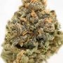 Royal Queen Seeds Cherry Pie Smoke Buds Weed Ganja Skunk Dope Pot Images Pics Nuggets