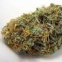 Royal Queen Seeds Trainwreck Smoke Buds Weed Ganja Skunk Dope Pot Images Pics Nuggets