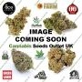 Lemon Delight Feminized by The Cali Connection THC Content Potency Strength CBD Height Yield Flowering Time Indica Sativa Geneti