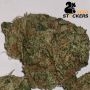 Seed Stockers Black Rainbow Auto Smoke Buds Weed Ganja Skunk Dope Pot Images Pics Nuggets