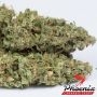 Phoenix Seeds Super Kush Auto Smoke Buds Weed Ganja Skunk Dope Pot Images Pics Nuggets
