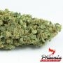 Phoenix Seeds Haze Express Auto Smoke Buds Weed Ganja Skunk Dope Pot Images Pics Nuggets