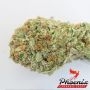 Phoenix Seeds Original Skunk Express Auto Smoke Buds Weed Ganja Skunk Dope Pot Images Pics Nuggets
