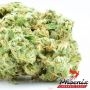 Phoenix Seeds Big Yield Auto Smoke Buds Weed Ganja Skunk Dope Pot Images Pics Nuggets