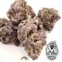 Old School Genetics Black Cherries Smoke Buds Weed Ganja Skunk Dope Pot Images Pics Nuggets