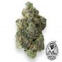 Old School Genetics Bananaz Smoke Buds Weed Ganja Skunk Dope Pot Images Pics Nuggets