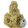 Old School Genetics Bananapples Smoke Buds Weed Ganja Skunk Dope Pot Images Pics Nuggets