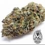 Old School Genetics Banana Runtz Smoke Buds Weed Ganja Skunk Dope Pot Images Pics Nuggets