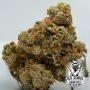Old School Genetics Banana Kush Mints Smoke Buds Weed Ganja Skunk Dope Pot Images Pics Nuggets