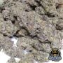 Night Owl Seeds Cannabis Strain Scoopski F2 Auto Marijuana Seeds Original Collector Souvenir Authentic Packaging Packs