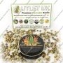 Cannabis Seeds Outlet Weed Strain MAC ONE Marijuana Seeds Original Collector Souvenir Authentic Packaging Packs