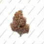 Cannabis Seeds Outlet MAC ONE Auto Smoke Buds Weed Ganja Skunk Dope Pot Images Pics Nuggets