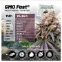 Dutch Passion Cannabis Strain Lemon Z Feminized Marijuana Seeds Original Collector Souvenir Authentic Packaging Packs