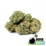 Bomb Seeds THC Fritters Smoke Buds Weed Ganja Skunk Dope Pot Images Pics Nuggets