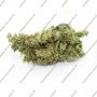 Royal Queen Seeds Tangie Smoke Buds Weed Ganja Skunk Dope Pot Images Pics Nuggets