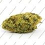 Symbiotic Genetics Bitter Orange Smoke Buds Weed Ganja Skunk Dope Pot Images Pics Nuggets