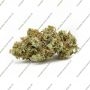 Symbiotic Genetics Nimbus Smoke Buds Weed Ganja Skunk Dope Pot Images Pics Nuggets