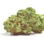 Royal Queen Seeds Lemon Skunk Smoke Buds Weed Ganja Skunk Dope Pot Images Pics Nuggets