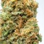 Lemon Skunk Feminized by Royal Queen Seeds THC Content Potency Strength CBD Height Yield Flowering Time Indica Sativa Genetics