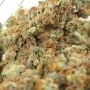 Apple Fritter Feminized by Barneys Farm THC Content Potency Strength CBD Height Yield Flowering Time Indica Sativa Genetics