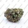 Cali Weed Platinum Nova Triploid Smoke Buds Weed Ganja Skunk Dope Pot Images Pics Nuggets