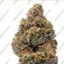 Original Sensible Seeds Blackwater Smoke Buds Weed Ganja Skunk Dope Pot Images Pics Nuggets