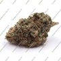 Original Sensible Seeds Tiramisu Smoke Buds Weed Ganja Skunk Dope Pot Images Pics Nuggets