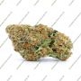 Terp Treez Seed Co Blue Paya Smoke Buds Weed Ganja Skunk Dope Pot Images Pics Nuggets