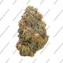 Terp Treez Seed Co Rainbow MelonZ Smoke Buds Weed Ganja Skunk Dope Pot Images Pics Nuggets