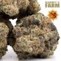 Barneys Farm Lemon Cherry Gelato Smoke Buds Weed Ganja Skunk Dope Pot Images Pics Nuggets