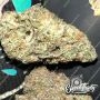 Eleven Thirty Genetics Dawg Fartz Auto Smoke Buds Weed Ganja Skunk Dope Pot Images Pics Nuggets