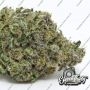 Eleven Thirty Genetics Highlighterz Auto Smoke Buds Weed Ganja Skunk Dope Pot Images Pics Nuggets