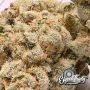 Nana Budder Feminized by Eleven Thirty Genetics THC Content Potency Strength CBD Height Yield Flowering Time Indica Sativa Genet