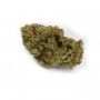 Cannabis Seeds Outlet Weed Strain Yumbolt Auto Feminized Marijuana Seeds Original Collector Souvenir Authentic Packaging Packs