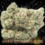 Just Feminized Alien Gorilla Glue Auto Smoke Buds Weed Ganja Skunk Dope Pot Images Pics Nuggets