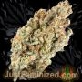 Just Feminized Banana Punch Auto Smoke Buds Weed Ganja Skunk Dope Pot Images Pics Nuggets
