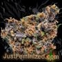Just Feminized Blueberry Auto Smoke Buds Weed Ganja Skunk Dope Pot Images Pics Nuggets