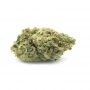Cannabis Seeds Outlet Weed Strain Black Jack Auto Feminized Marijuana Seeds Original Collector Souvenir Authentic Packaging Pack
