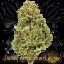 Just Feminized Moby Smoke Buds Weed Ganja Skunk Dope Pot Images Pics Nuggets